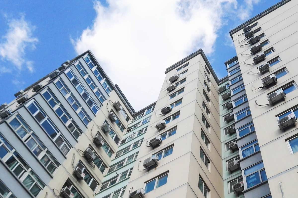 服務(wù)項(xiàng)目